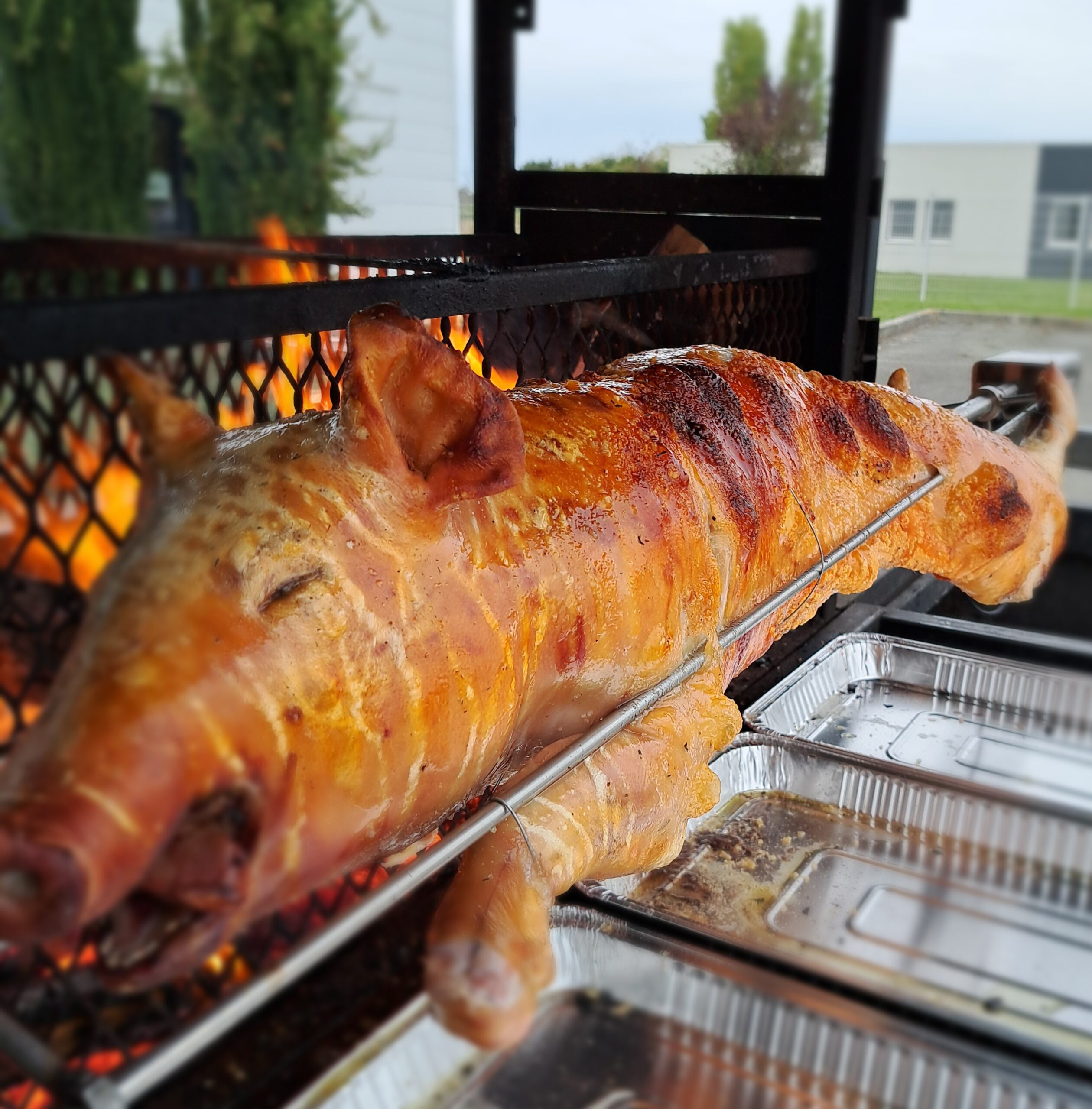 cochon de lait à la broche